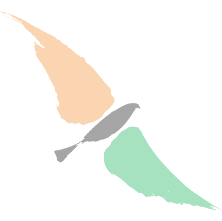 No Image Available